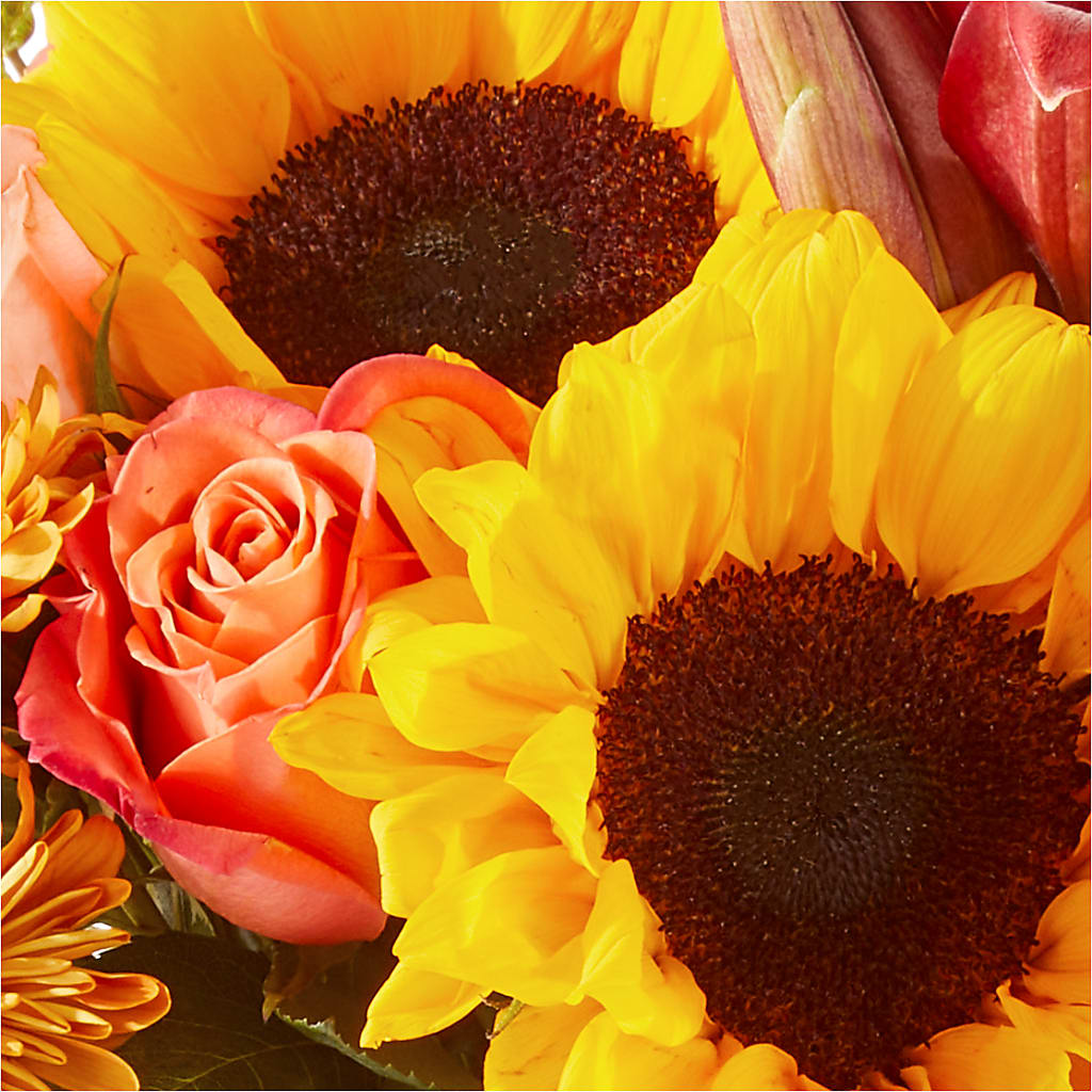 Acorn Lane Bouquet –  Sandelas Flower Shop, Chicago IL