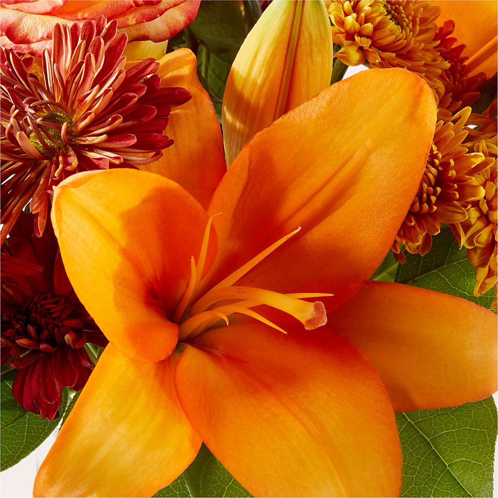 Autumnal Aroma Bouquet –  Sandelas Flower Shop, Chicago IL