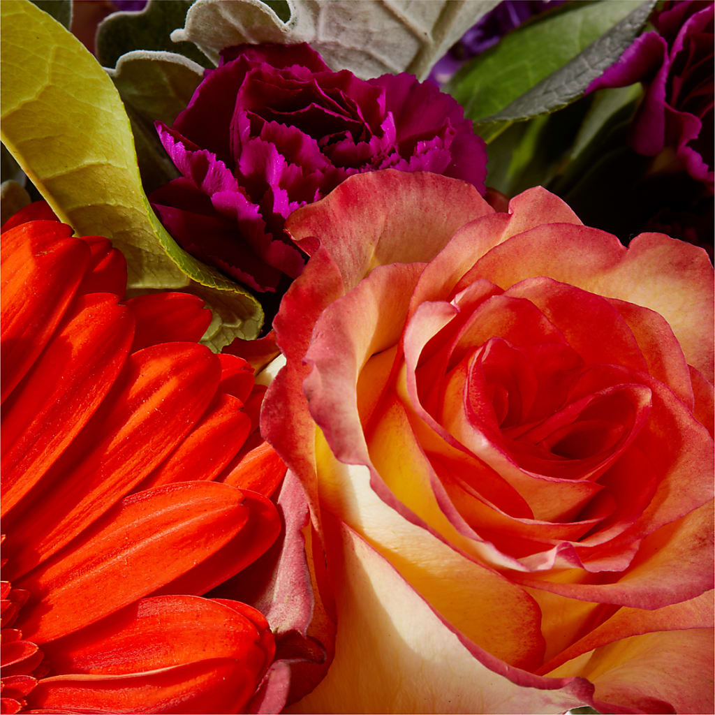 Sangria Bouquet –  Sandelas Flower Shop, Chicago IL