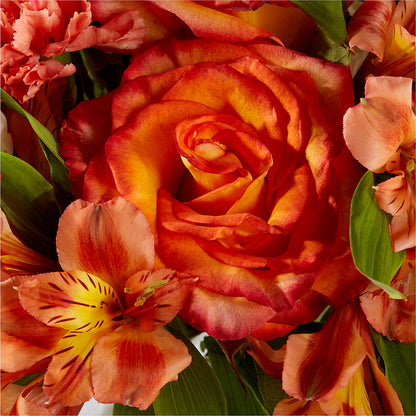 Apricot Glow Bouquet –  Sandelas Flower Shop, Chicago IL