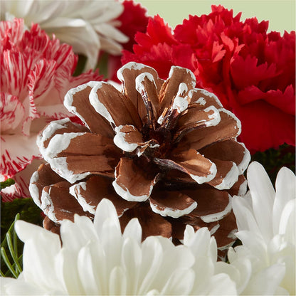 Candy Cane Lane Bouquet –  Sandelas Flower Shop, Chicago IL