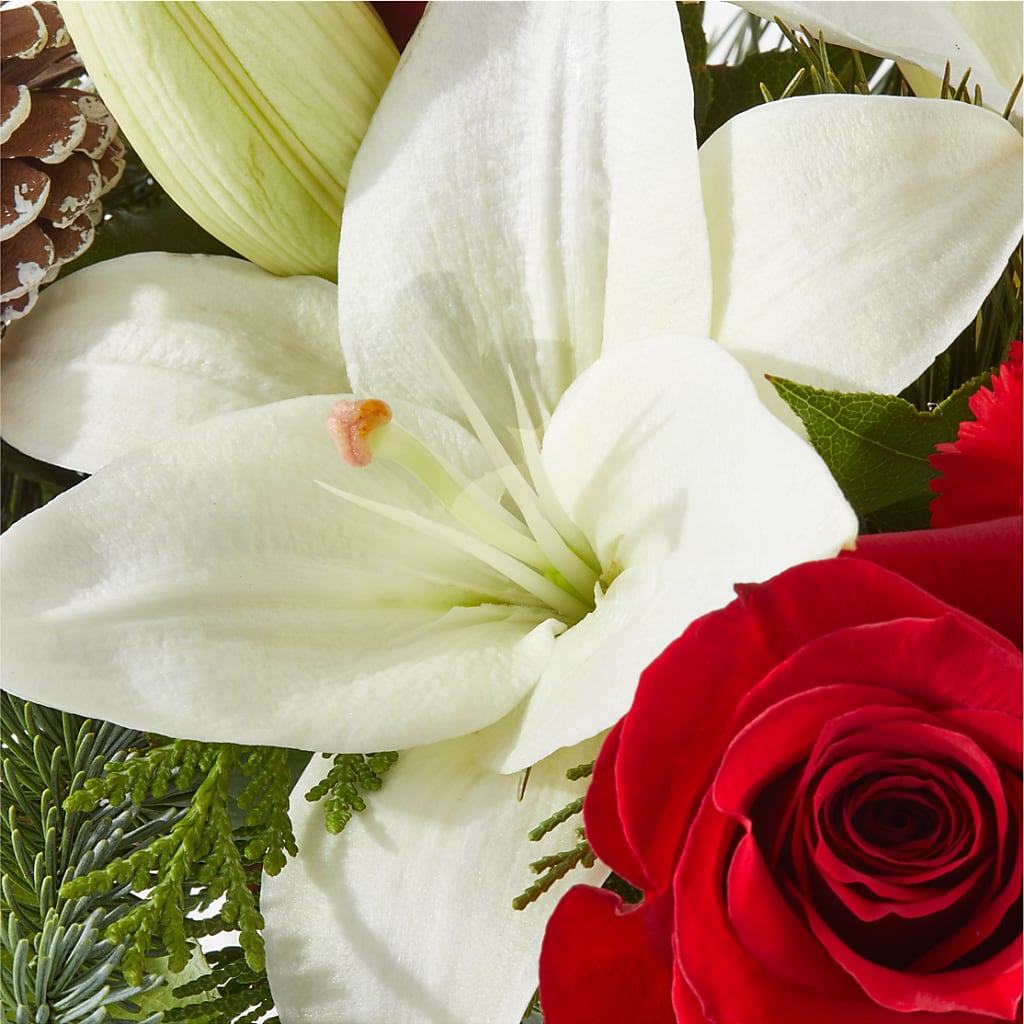 Oh So Jolly Bouquet –  Sandelas Flower Shop, Chicago IL