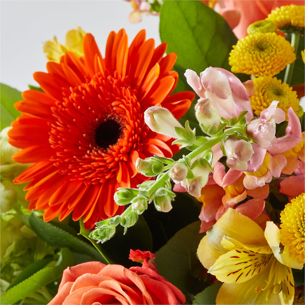 Autumn Sunshine Bouquet –  Sandelas Flower Shop, Chicago IL