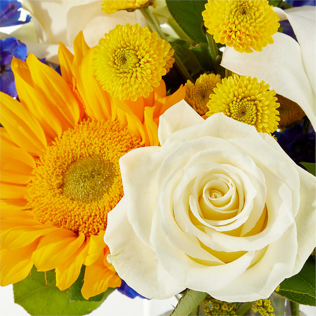 Stargazing Bouquet –  Sandelas Flower Shop, Chicago IL