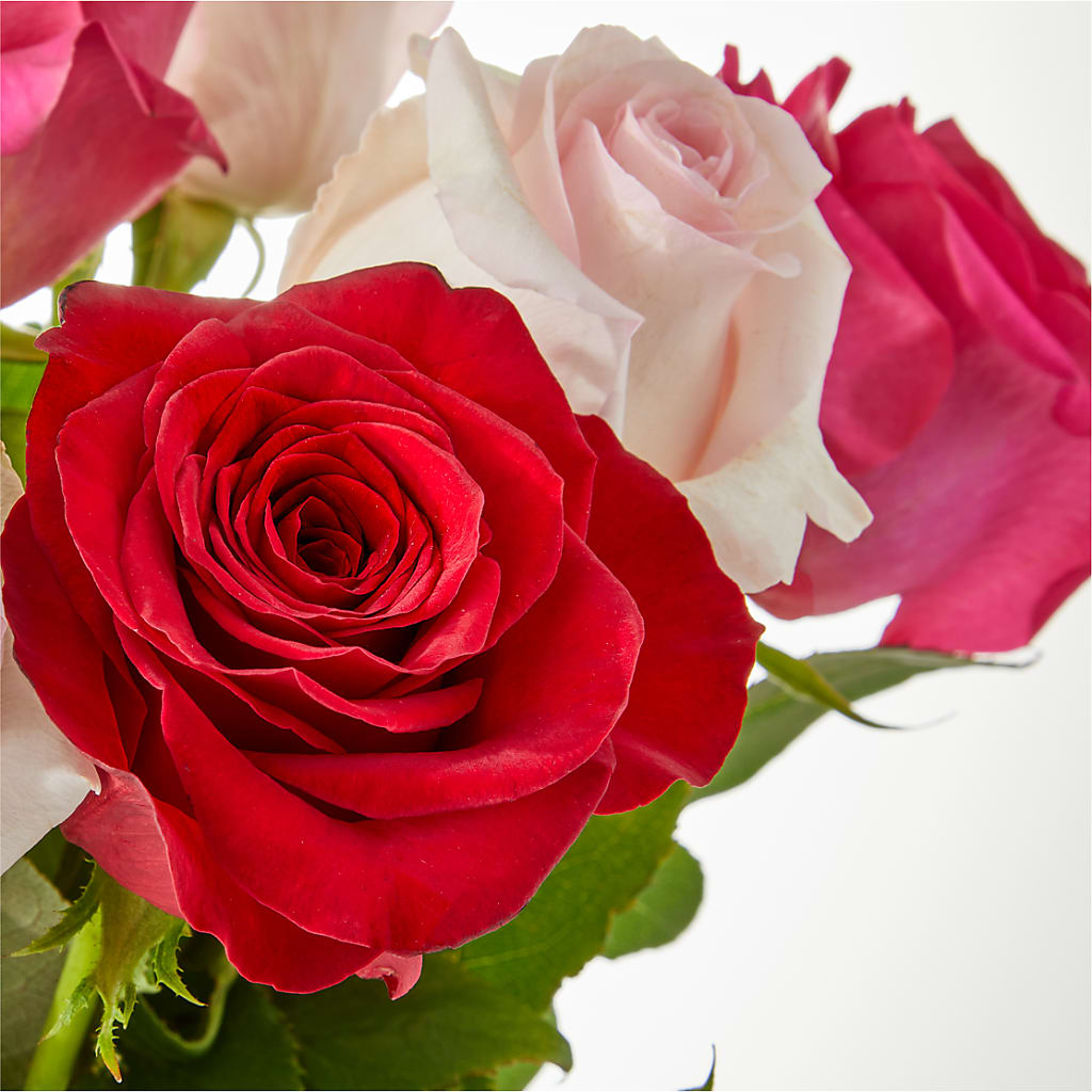 Charming Rose Bouquet –  Sandelas Flower Shop, Chicago IL