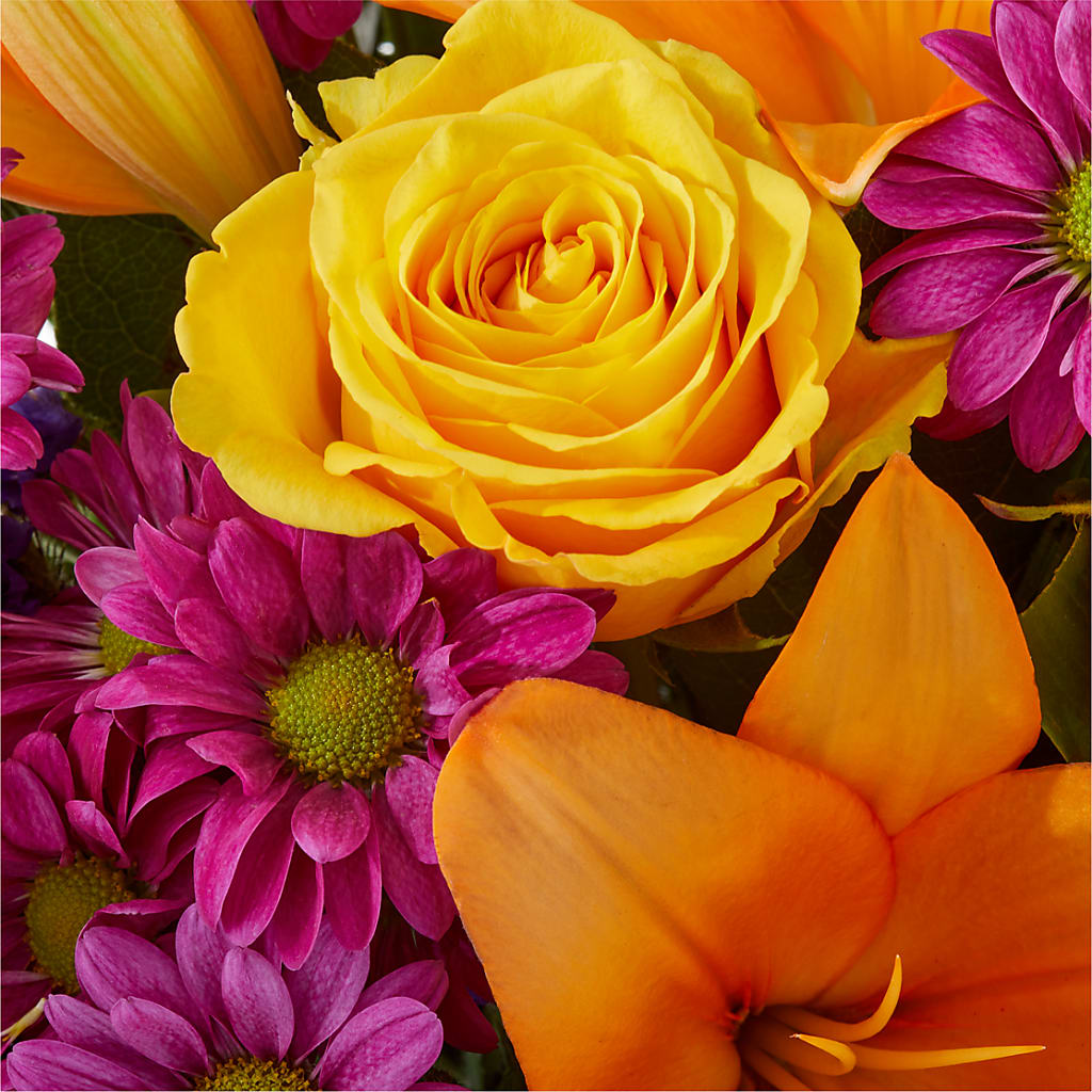 Colorful Visions Bouquet –  Sandelas Flower Shop, Chicago IL