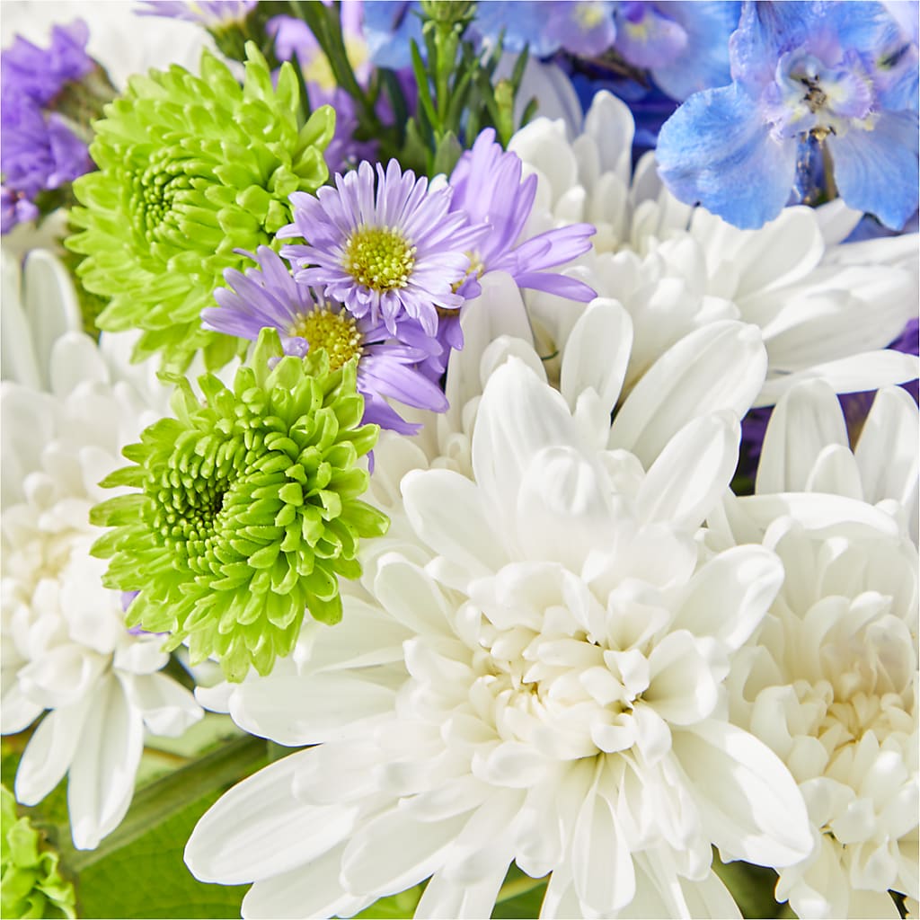 Genuine Gestures Bouquet –  Sandelas Flower Shop, Chicago IL