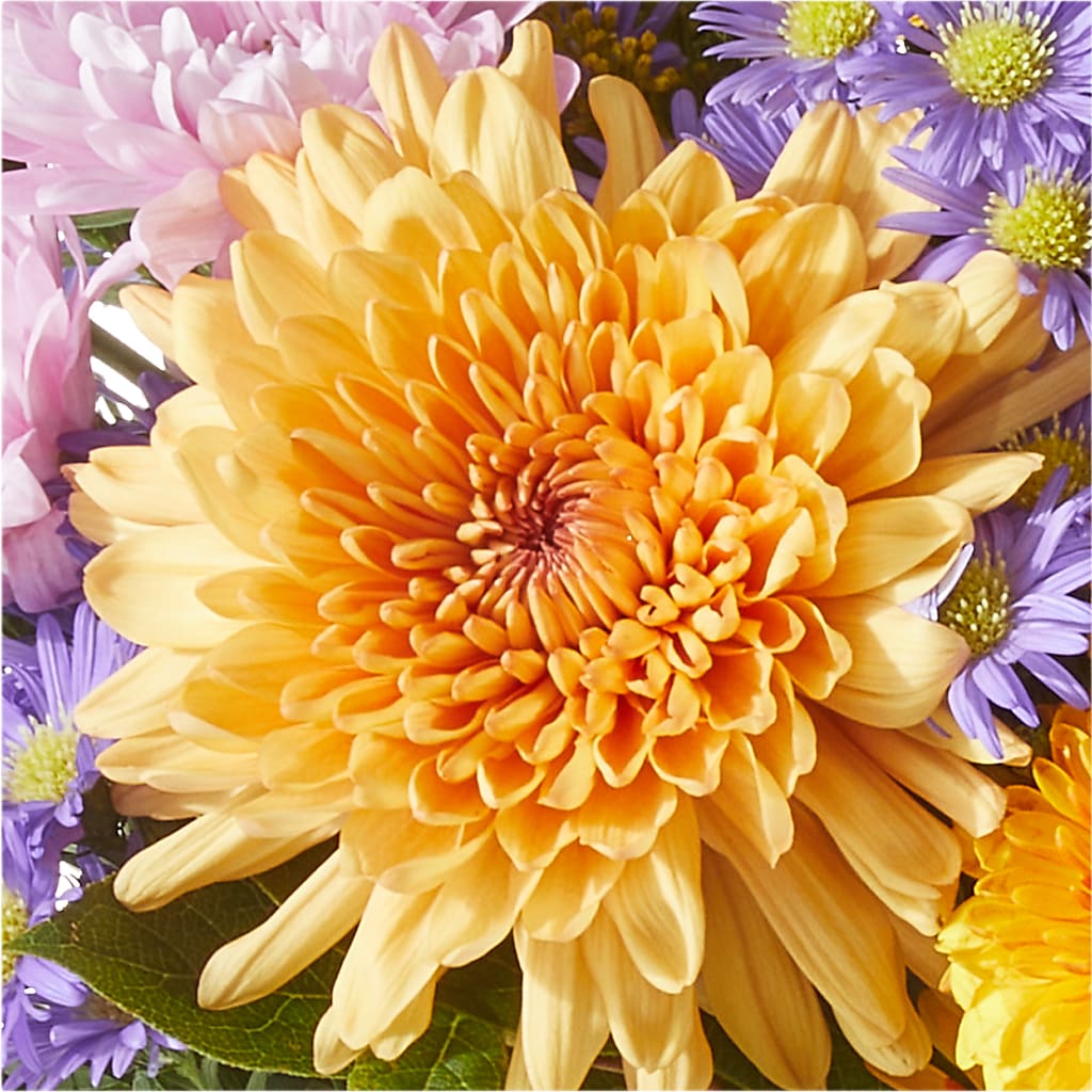 Countryside Bouquet –  Sandelas Flower Shop, Chicago IL