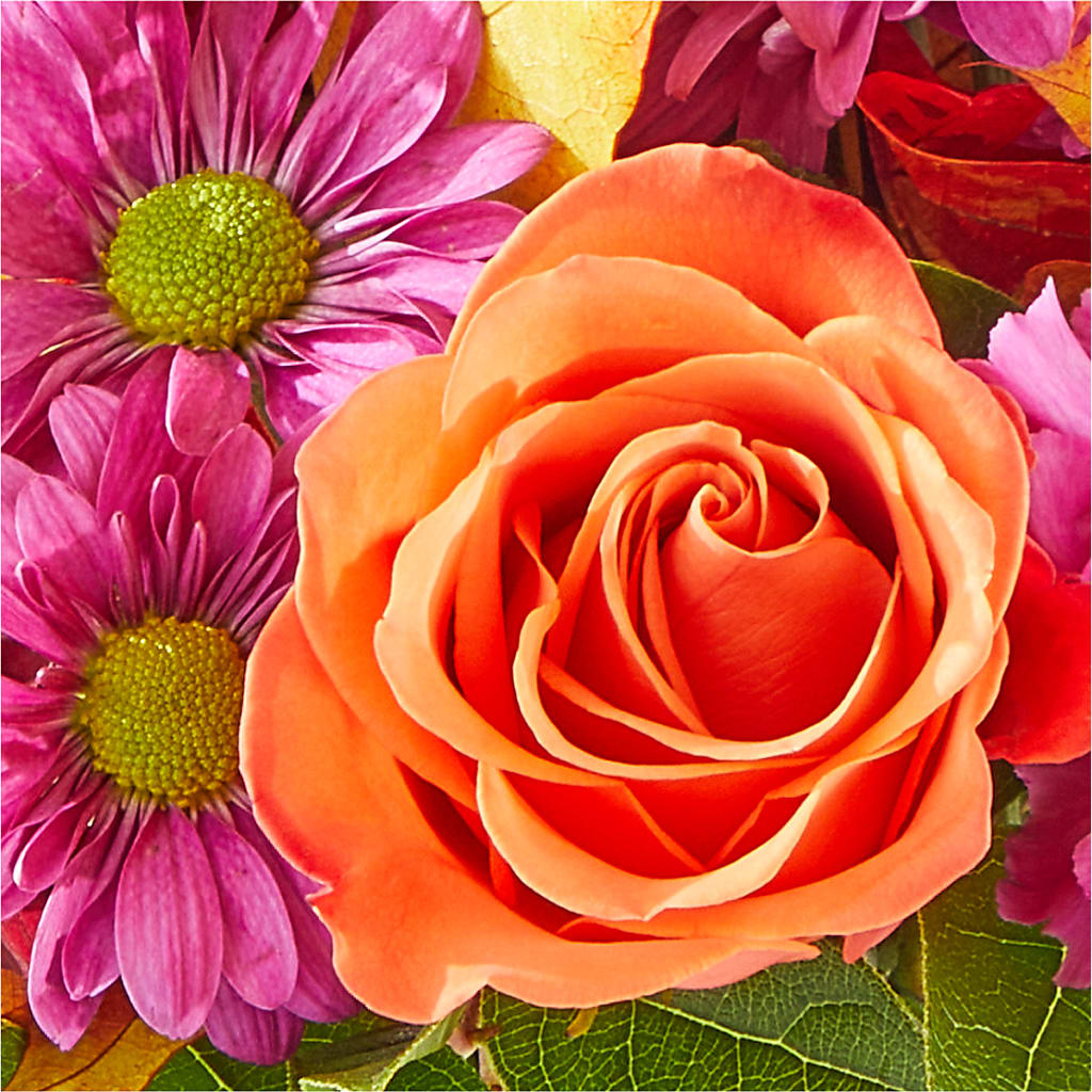 Mum's the Word Bouquet –  Sandelas Flower Shop, Chicago IL
