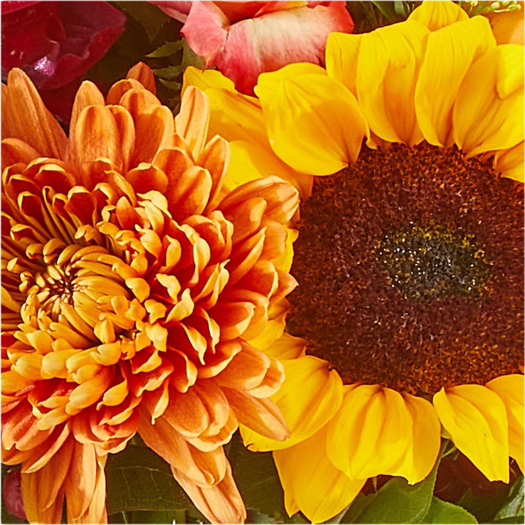 Seasons Change Bouquet –  Sandelas Flower Shop, Chicago IL