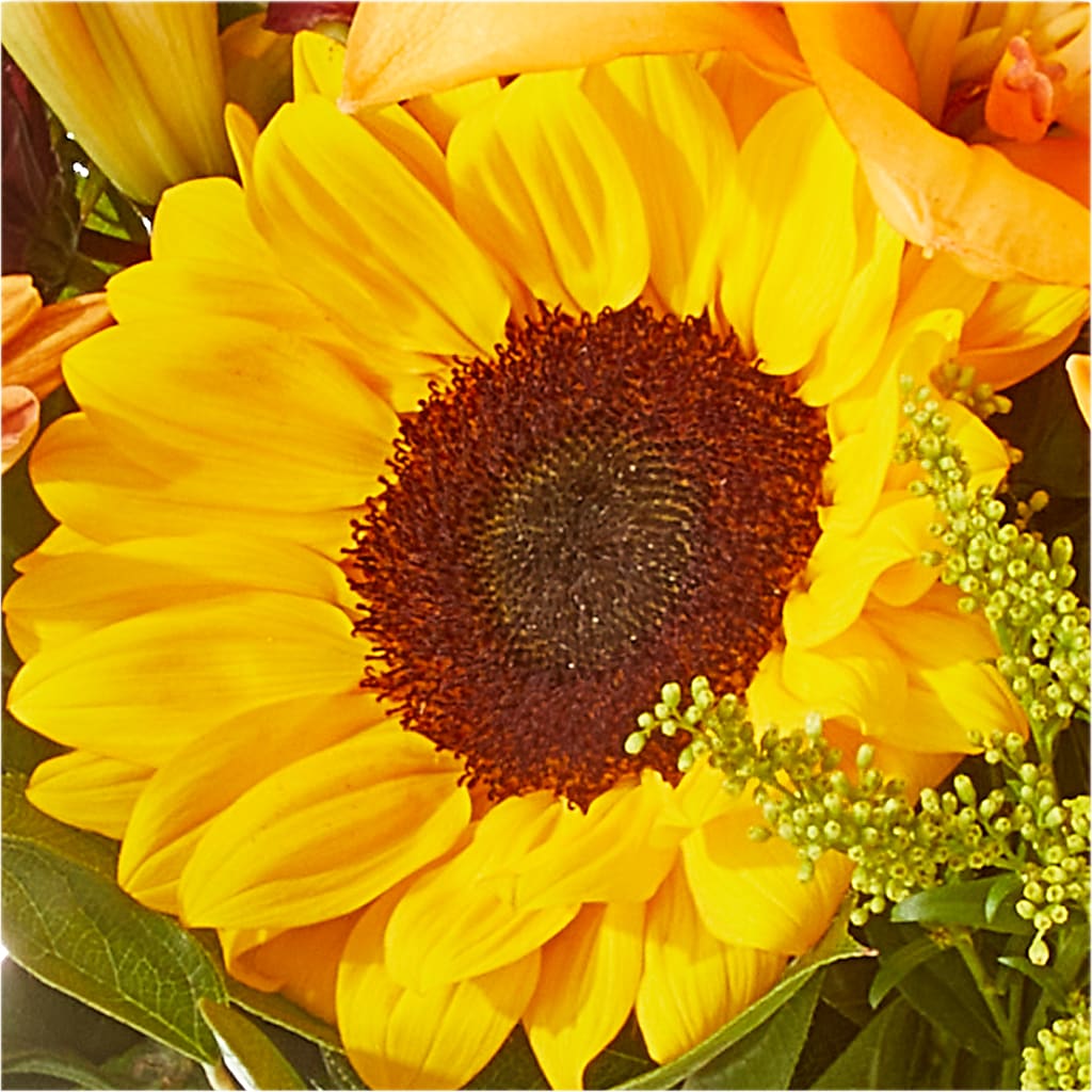 Seasons Change Bouquet –  Sandelas Flower Shop, Chicago IL