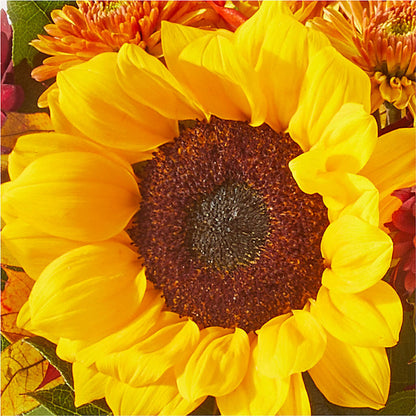 Sunny Side Bouquet –  Sandelas Flower Shop, Chicago IL