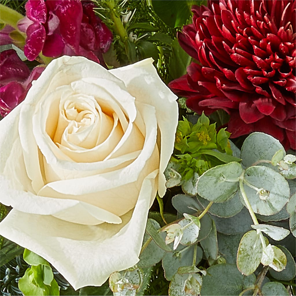 Cranberry Fizz Bouquet –  Sandelas Flower Shop, Chicago IL