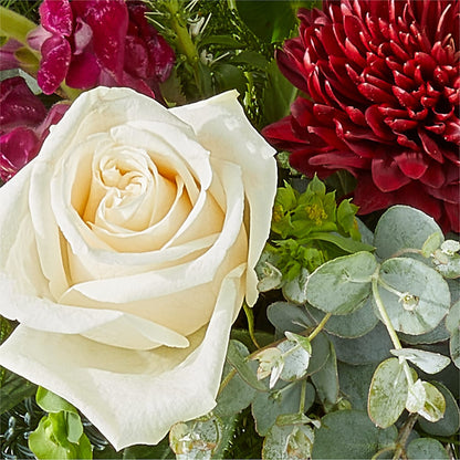 Cranberry Fizz Bouquet –  Sandelas Flower Shop, Chicago IL