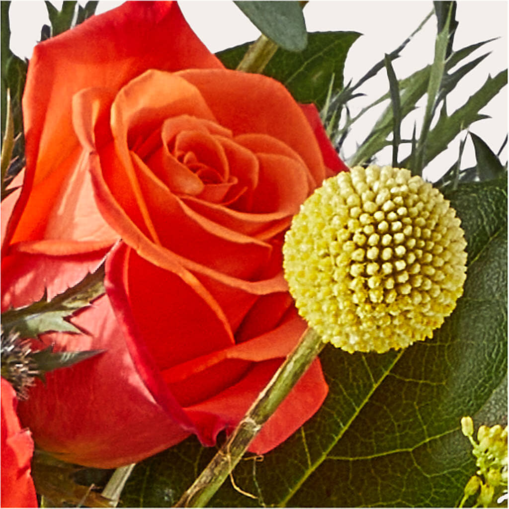 Disco Bouquet –  Sandelas Flower Shop, Chicago IL