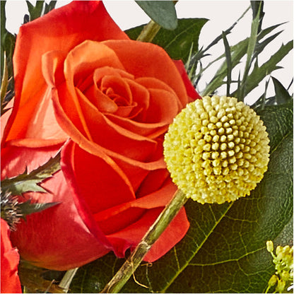 Disco Bouquet –  Sandelas Flower Shop, Chicago IL