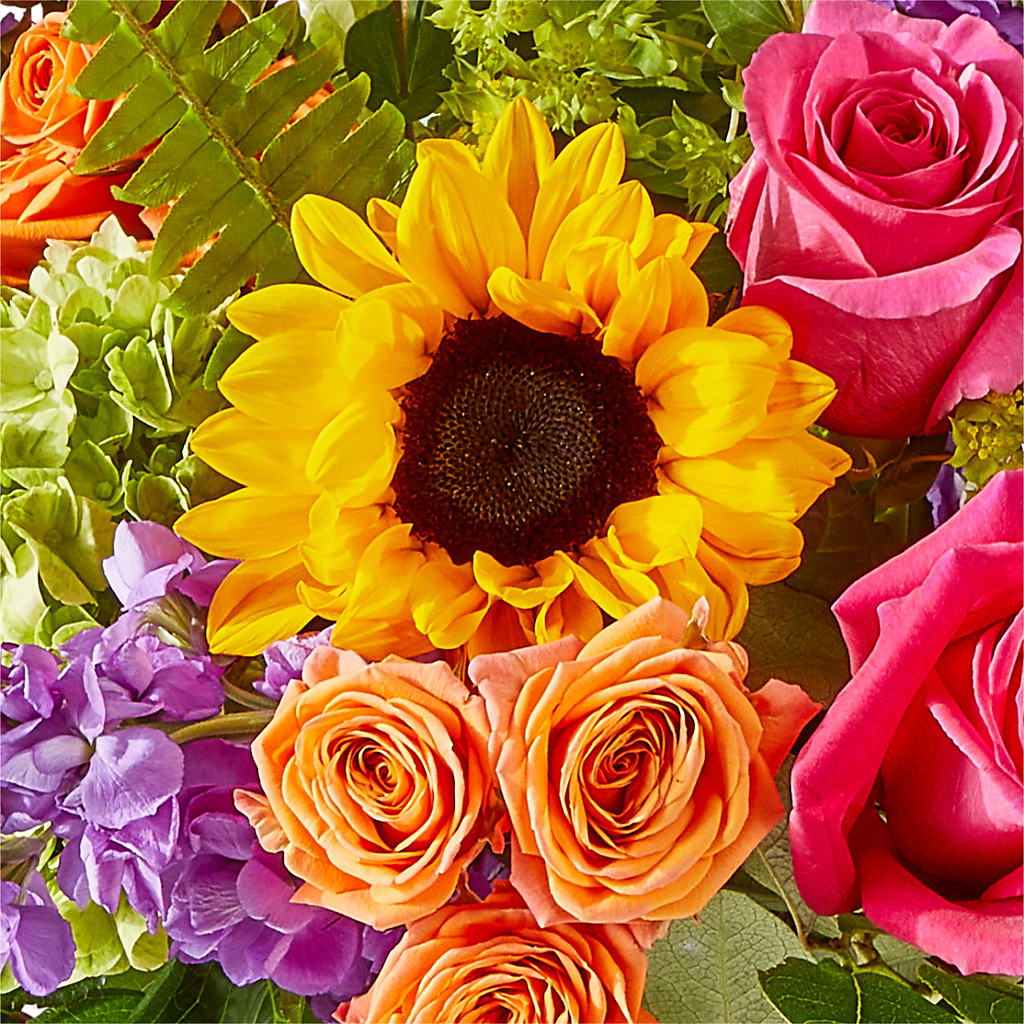 Vibrant Greetings Bouquet –  Sandelas Flower Shop, Chicago IL