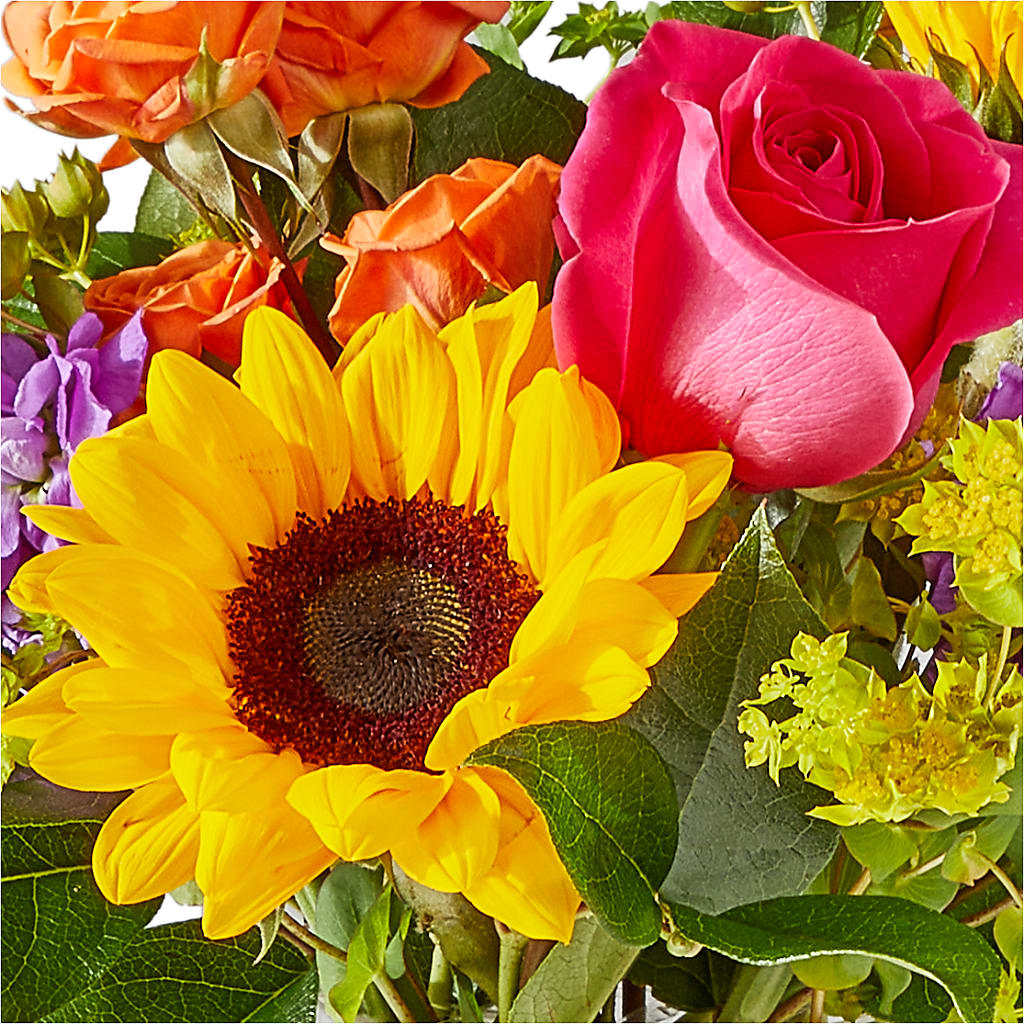 Vibrant Greetings Bouquet –  Sandelas Flower Shop, Chicago IL