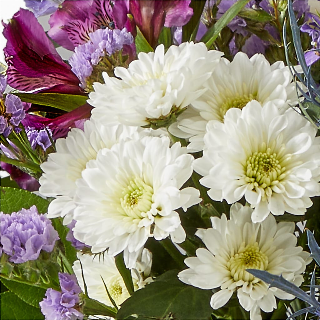 Shooting Star Bouquet –  Sandelas Flower Shop, Chicago IL