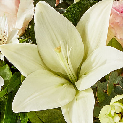 Ballet Slippers Bouquet –  Sandelas Flower Shop, Chicago IL