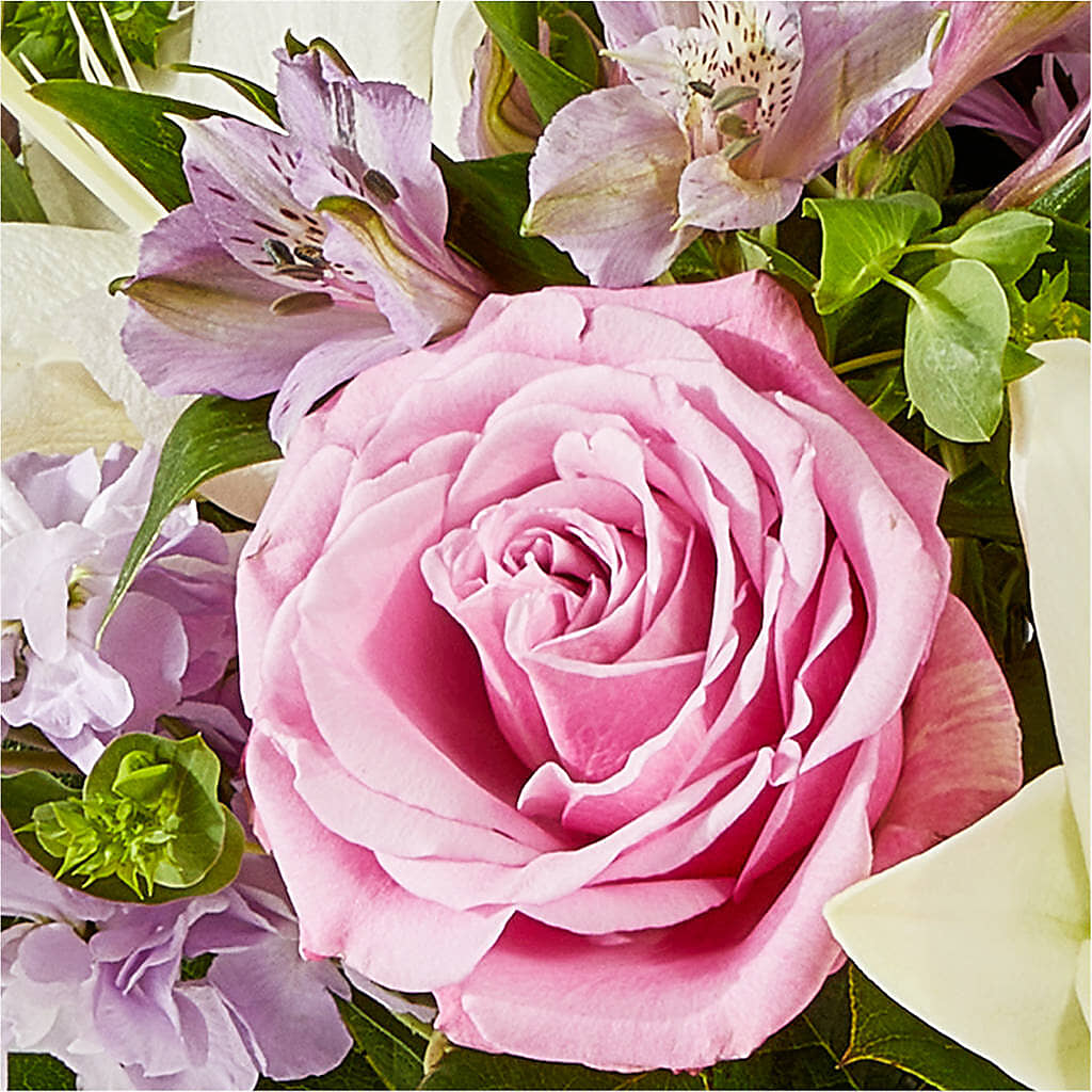 Daydreamer Bouquet –  Sandelas Flower Shop, Chicago IL