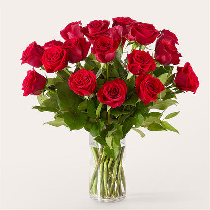 The One Red Rose Bouquet –  Sandelas Flower Shop, Chicago IL