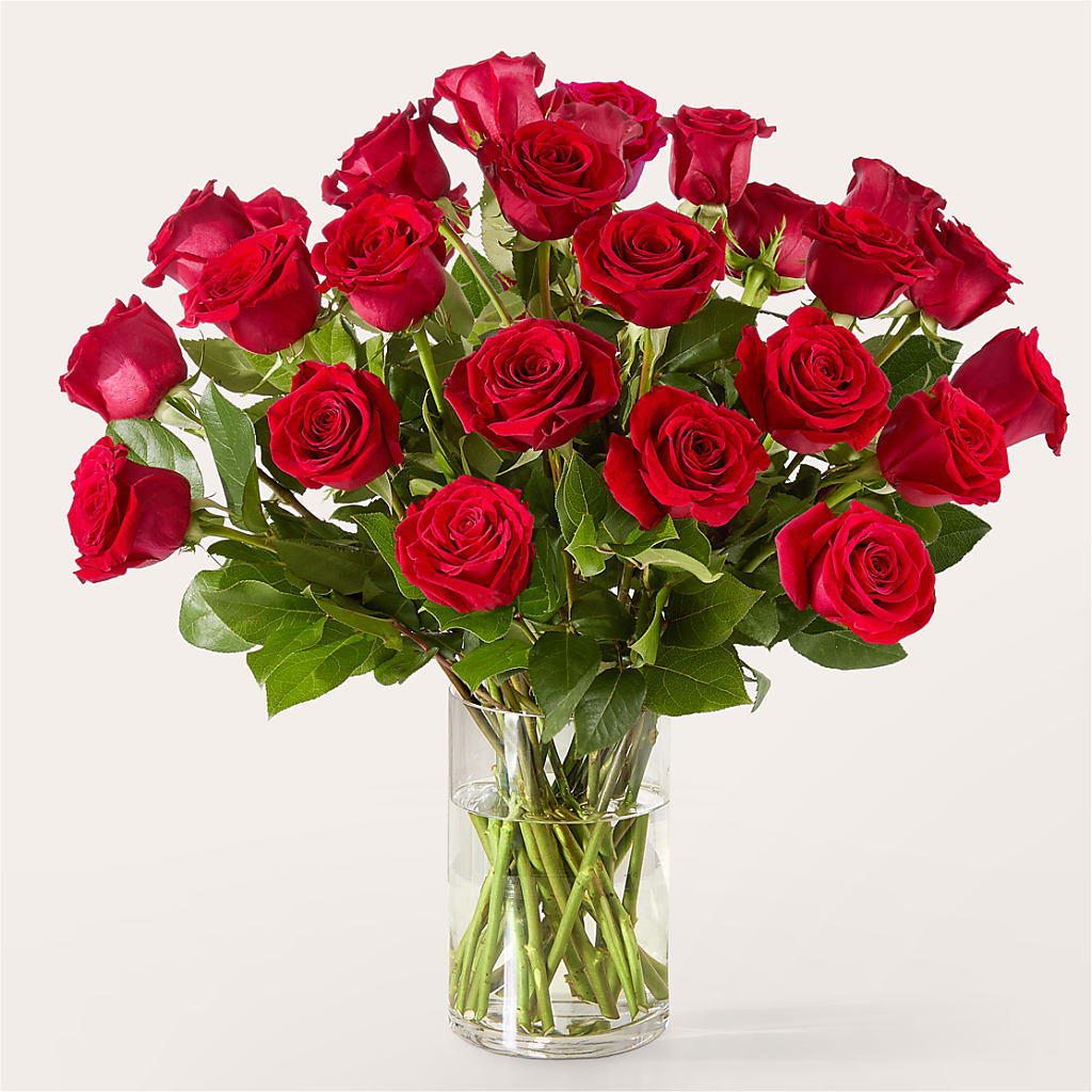 The One Red Rose Bouquet –  Sandelas Flower Shop, Chicago IL