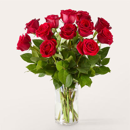 The One Red Rose Bouquet –  Sandelas Flower Shop, Chicago IL