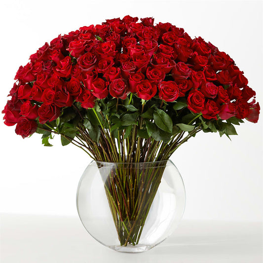 The Idealist –  Sandelas Flower Shop, Chicago IL