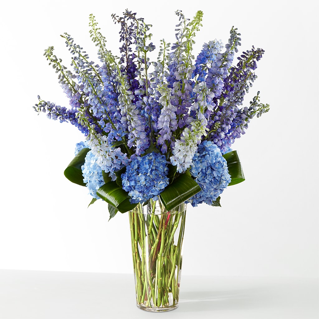 The Editorial –  Sandelas Flower Shop, Chicago IL