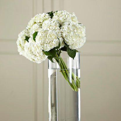 White Hydrangea Hand-Tied Bouquet –  Sandelas Flower Shop, Chicago IL