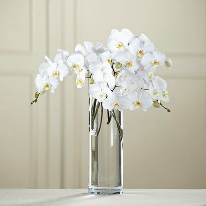 White Phalaenopsis Bouquet –  Sandelas Flower Shop, Chicago IL