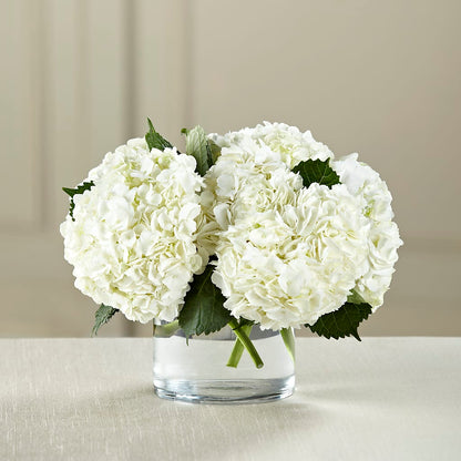 White Hydrangea Bouquet –  Sandelas Flower Shop, Chicago IL