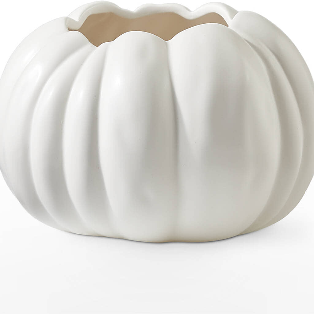 Autumn Air Pumpkin Bouquet –  Sandelas Flower Shop, Chicago IL